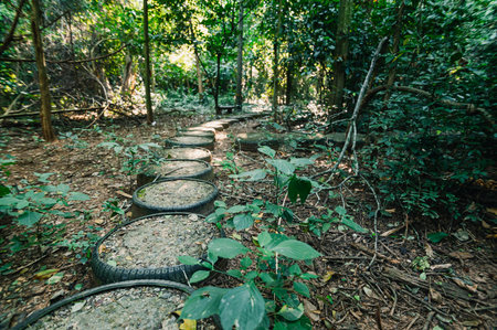 Discover a tranquil forest path featuring unique tire steps, surrounded by lush foliage and sunlight...