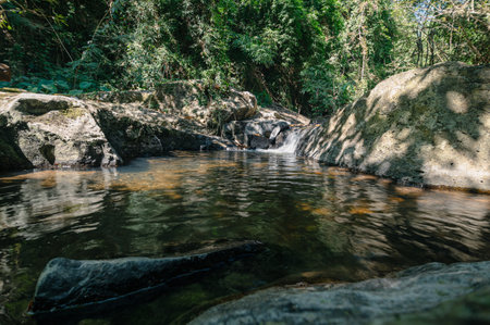 A serene stream gently flows through a lush forest setting, surrounded by rocks and vibrant greenery. Sunlight creates reflections on the water's surface.の写真素材
