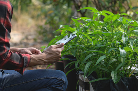 A person examines a planting guide while seated next to lush green plants, illustrating the passion for gardening and nurturing nature outdoors.の写真素材