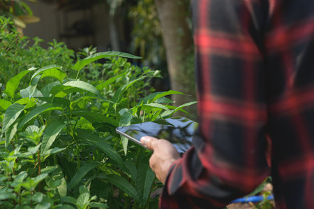 A person is using a tablet to explore information in a vibrant garden filled with lush greenery. The interaction highlights modern technology in nature.の写真素材