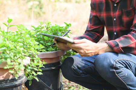 A person with a plaid shirt crouches in a garden, using a tablet to monitor herb growth. Surrounded by potted plants, the scene embodies modern gardening techniques with technology.の写真素材