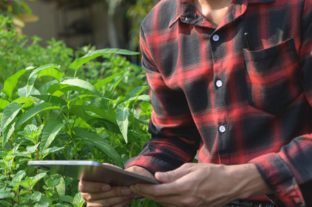 A male individual sits comfortably in a lush green setting, interacting with a tablet. His flannel shirt complements the natural environment, creating a relaxed atmosphere.の写真素材