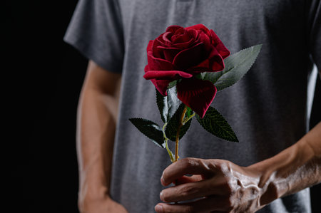 A stunning close-up of a single red rose held by a person in a gray shirt, showcasing the beauty of nature and symbolizing love and romance against a dark background.の写真素材