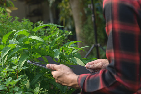 A person engages with a tablet surrounded by vibrant greenery, showcasing the blend of technology and nature in modern gardening and exploration.の写真素材