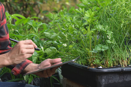 A person is engaged in planning their gardening project while surrounded by lush greenery. The activity emphasizes a blend of technology and nature.の写真素材