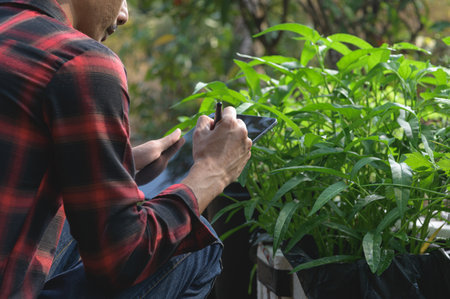 A person writes notes while closely observing lush green plants in a sunlit garden. The scene captures the essence of gardening, creativity, and nature.の写真素材