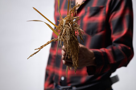 A farmer proudly holds a rice plant, symbolizing dedication to agriculture and the importance of sustainable farming practices in rural communities.の写真素材