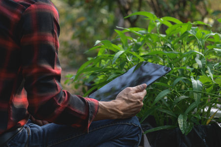 A person casually engages with a tablet while sitting among lush green plants, showcasing the blend of technology and nature in a serene outdoor setting.の写真素材