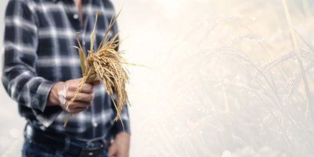 A farmer proudly holds freshly harvested rice stalks in a sunlit field, showcasing the essence of agriculture and rural life. The image captures the vitality of summer farming.の写真素材