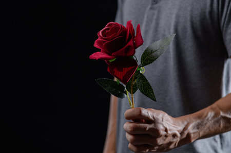 A man elegantly holds a single red rose, symbolizing love and beauty, against a dark background. This intimate portrayal captures emotions and tenderness.の写真素材
