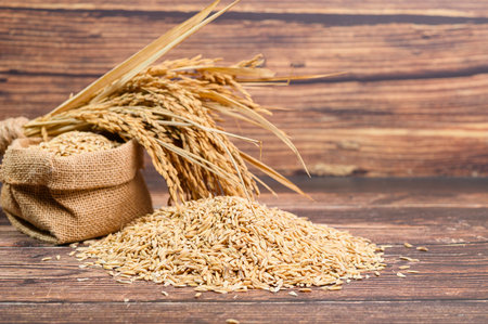 A captivating scene featuring natural golden rice grains and dried grain stalks in a burlap sack, set against a rustic wooden background. Perfect for agricultural themes.の写真素材