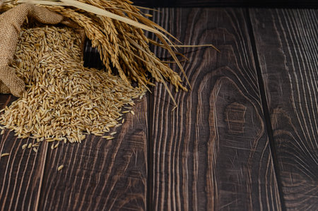 This rustic image showcases oats and wheat grains spilling from a burlap sack on a dark wooden background, perfect for agricultural or food-related themes.の写真素材