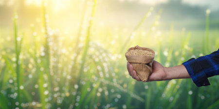 A hand holds a burlap sack filled with rice, set against a vibrant rice field. This image captures the essence of agriculture and the importance of rice trade.の写真素材