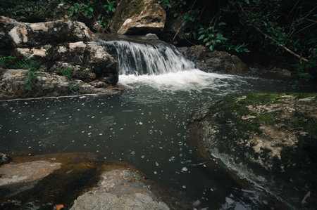 Discover a beautiful waterfall cascading into a tranquil pool surrounded by lush greenery. This...