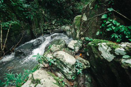 Discover a serene waterfall flowing through a dense tropical forest, surrounded by vibrant foliage...