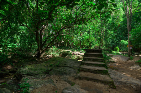Discover a serene pathway through lush greenery near a waterfall in Chiang Mai, Thailand. Perfect...