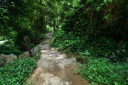 Experience the serene beauty of a lush pathway leading to Ya Waterfall in Chiang Mai. This tranquil...