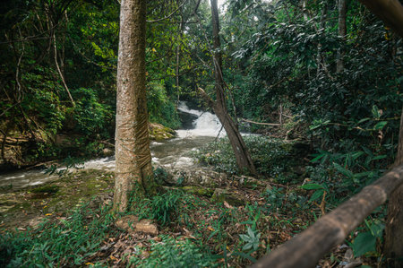 Discover the beauty of Pha Dok Siew Waterfall in Chiang Mai, a serene escape into nature. Enjoy lush...