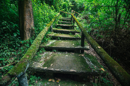 Explore the serene overgrown steps leading through lush greenery, inviting travelers towards hidden...