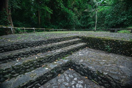 Discover the tranquil stone steps embedded in lush greenery in Chiang Mai, perfect for adventurers seeking peace and natural beauty in a serene environment.の写真素材