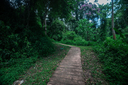 Explore a serene path winding through lush greenery in Chiang Mai's hot springs area, inviting...