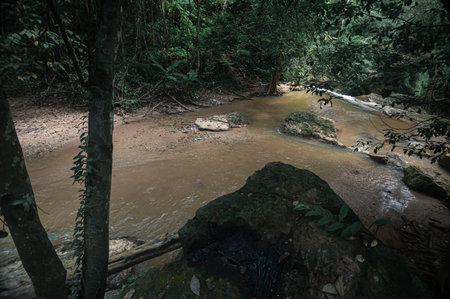 Discover a serene waterfall scene near Chiang Mai, showcasing lush greenery and flowing water amidst...