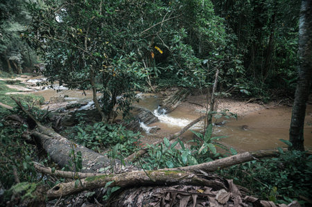 Discover a tranquil waterfall nestled in the lush greenery of Chiang Mai, where a serene stream...