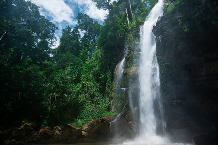Discover the breathtaking beauty of a waterfall cascading down rocky cliffs, surrounded by vibrant...
