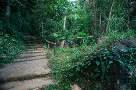 Discover a serene pathway surrounded by lush greenery, leading to a hidden waterfall. This tranquil...