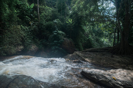 Discover the serene beauty of a waterfall flowing gently through lush greenery in Chiang Mai. The...