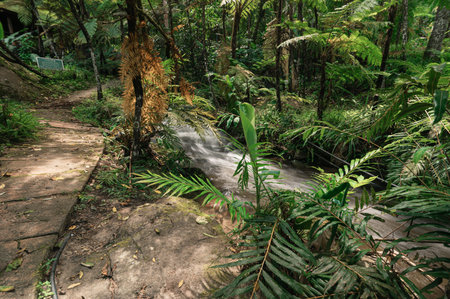 Discover a stunning waterfall scene in Chiang Mai, surrounded by vibrant greenery and peaceful...
