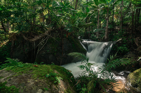 Discover a tranquil waterfall tucked away in the lush forests of Chiang Mai. This serene scene...