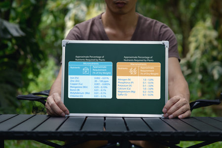 Explore the essential nutrient requirements for sustainable plant growth, capturing the intersection of agriculture and technology in a lush environment.の写真素材