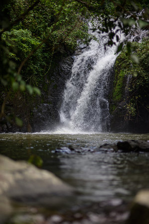 A tranquil waterfall cascades down rocks into a serene pool, surrounded by lush greenery. This...