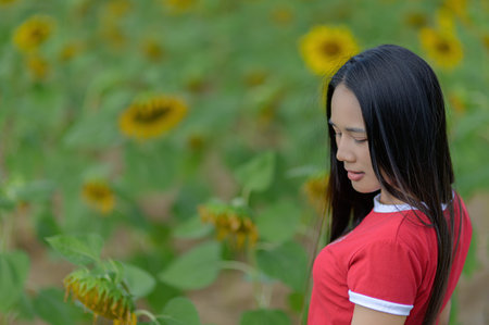 A young woman in a red shirt stands gracefully among vibrant sunflowers, capturing a moment of tranquility in a beautiful outdoor setting.の写真素材