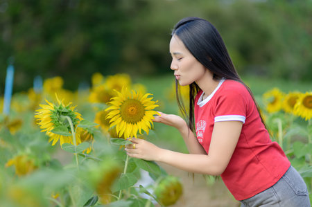 A young woman admires a sunflower in a blooming field, capturing the essence of nature's beauty. The serene moment showcases joy and appreciation for vibrant flowers.の写真素材