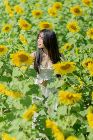 A beautiful woman stands gracefully in a field of vibrant sunflowers, embodying joy and tranquility. The spring scene radiates warmth and natural beauty.の写真素材