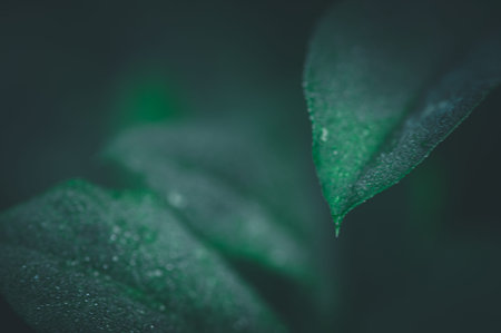 This close-up image captures the delicate beauty of green leaves, emphasizing conservation and the...