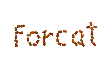 For cat by food