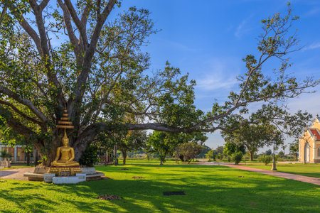 Thai golden Buddha statue with tiered umbrella of trees background. In the temple Thailand