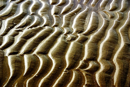 Sand Waves 3