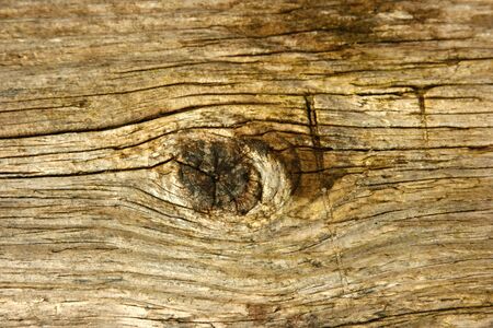 KNOT AND GRAIN IN WOODの写真素材