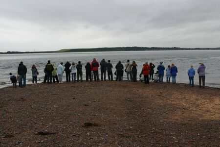 Dolphin watching at the Moray Firth, Scotlandの写真素材