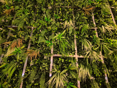 Plants and flowers in a botanical garden in Bangkok, Thailand.