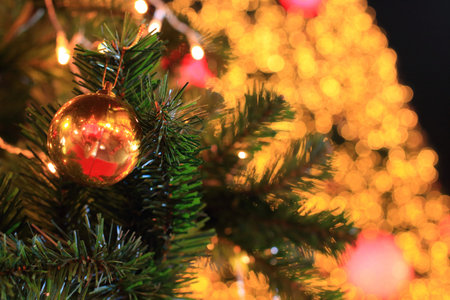 christmas Ball at night