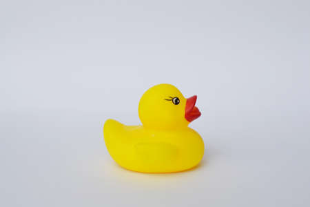 rubber yellow duckの写真素材