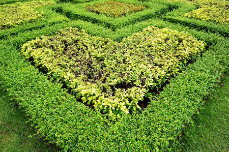 The path in the garden Near the palaceの写真素材