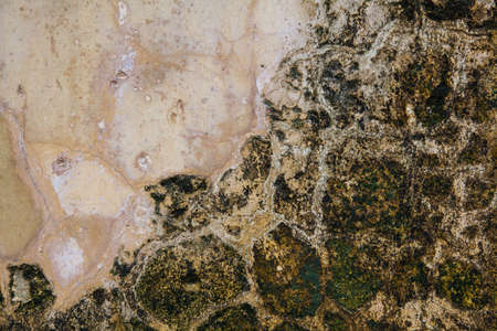 cracked concrete vintage wall background,old wall, brick.の写真素材