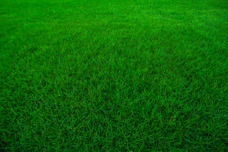 greensward for background
