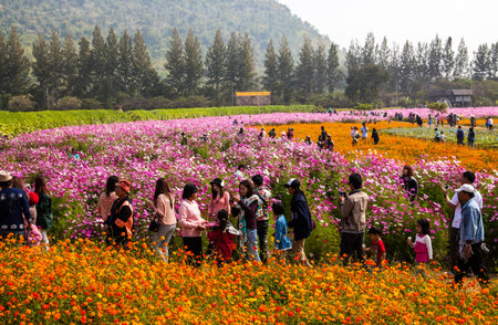 Nakhon Ratchasima, Thailand - December 31, 2013 : Unidentified visitors are traveling on December 31, 2013 in Nakhon Ratchasima, Thailandのeditorial素材